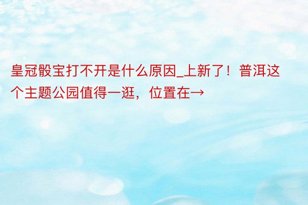皇冠骰宝打不开是什么原因_上新了！普洱这个主题公园值得一逛，位置在→